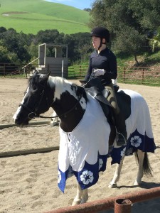 Tara Sweigert on Brandy the intensity of an equestrian.