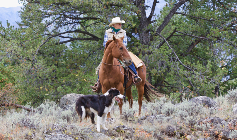 Rider and Dog