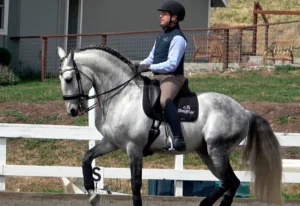 Andre Ganc Dressage Clnician